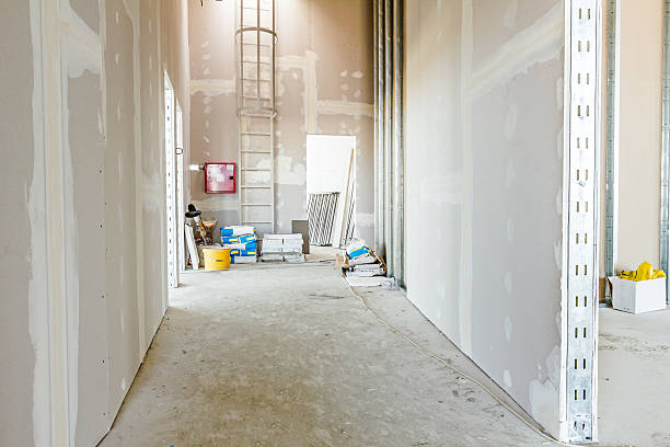 Best Drywall Sanding and Smoothing  in Springville, UT